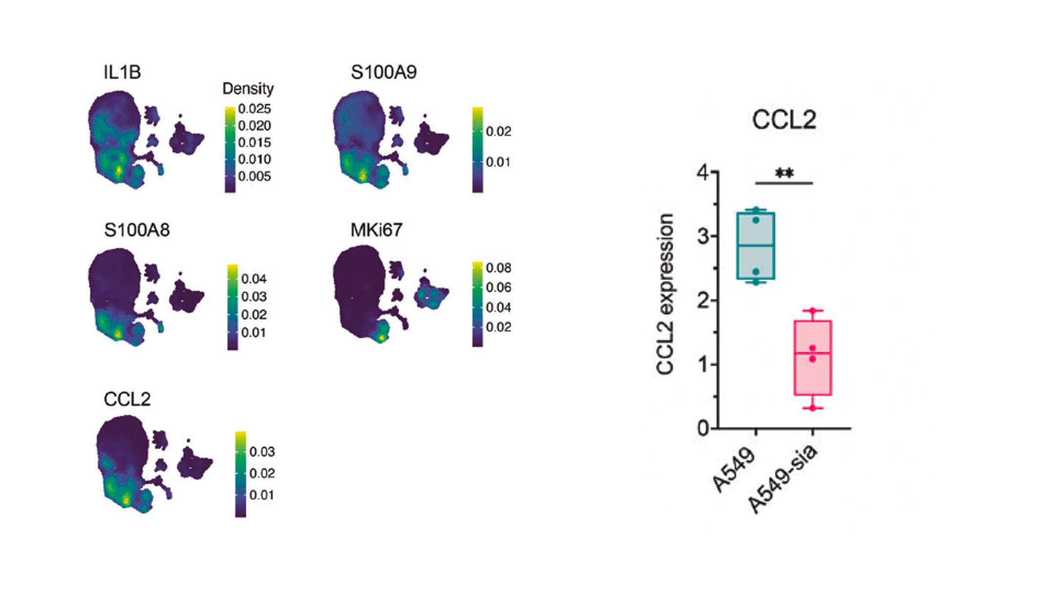 Glycan project — Figure 2