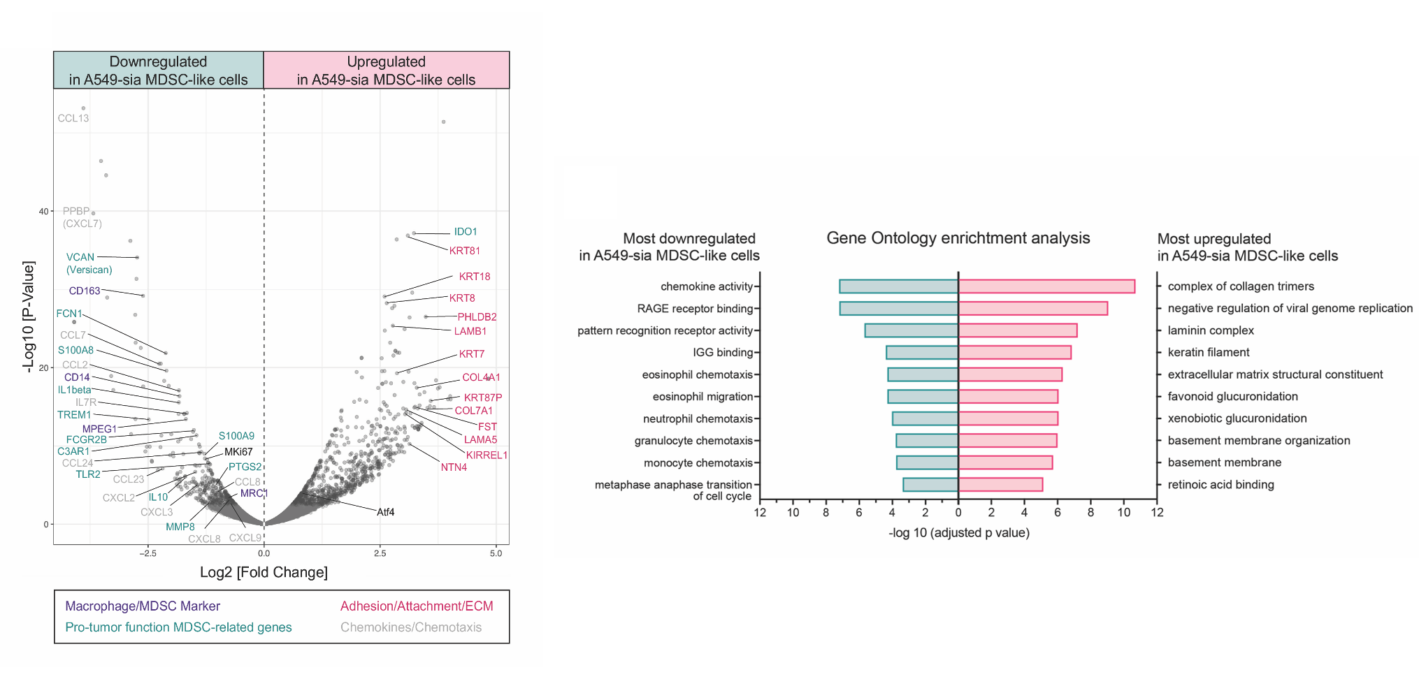 Glycan project — Figure 3