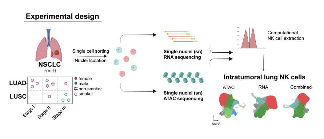 NK project — Figure 1