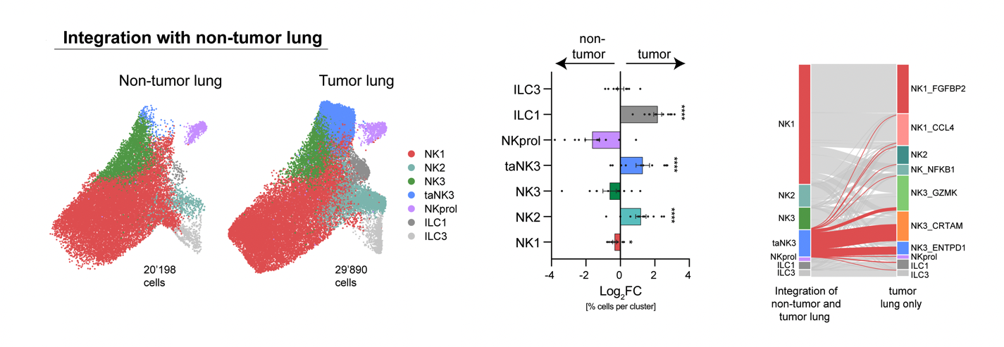 NK project — Figure 2