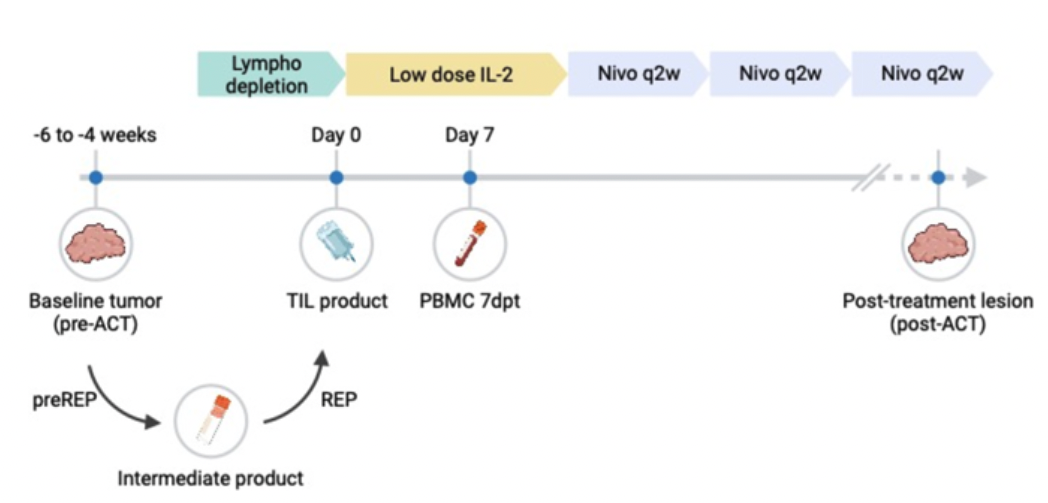 TIL project — Figure 1
