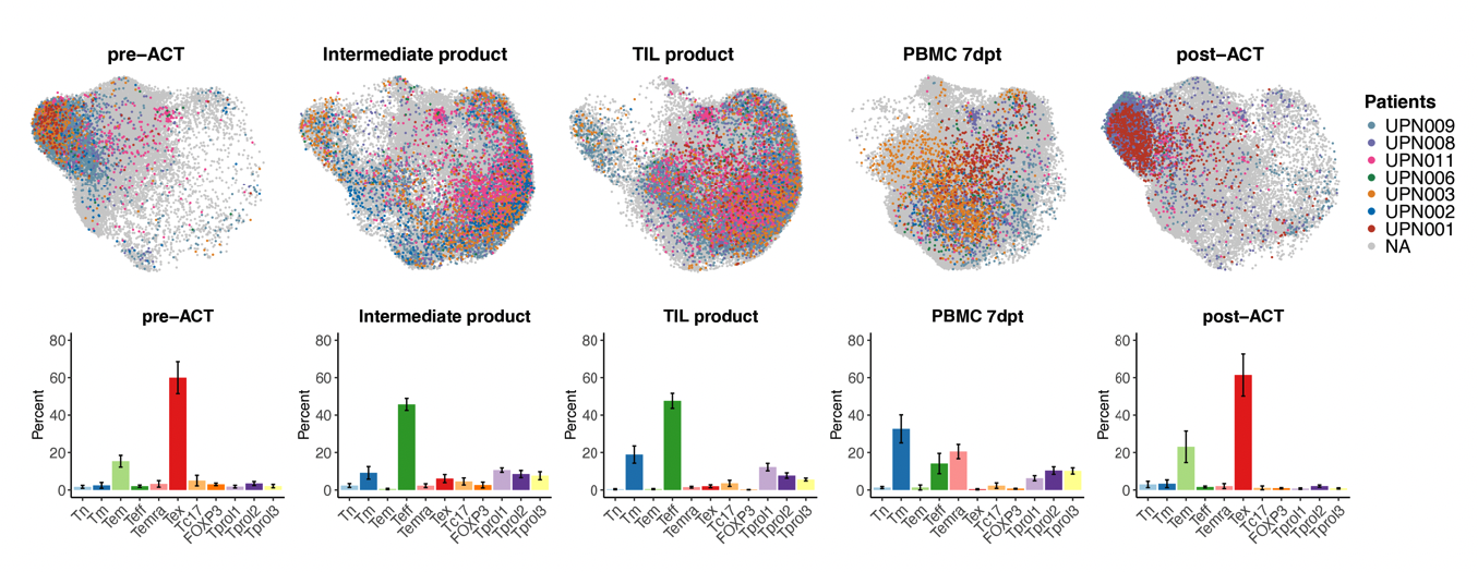 TIL project — Figure 2