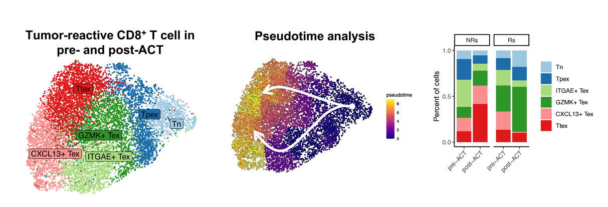 TIL project — Figure 3